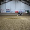 Ponyralley 143